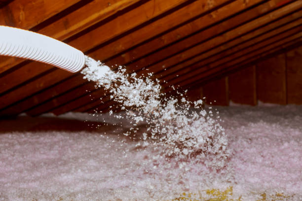Best Insulation Maintenance and Repair in Icard, NC